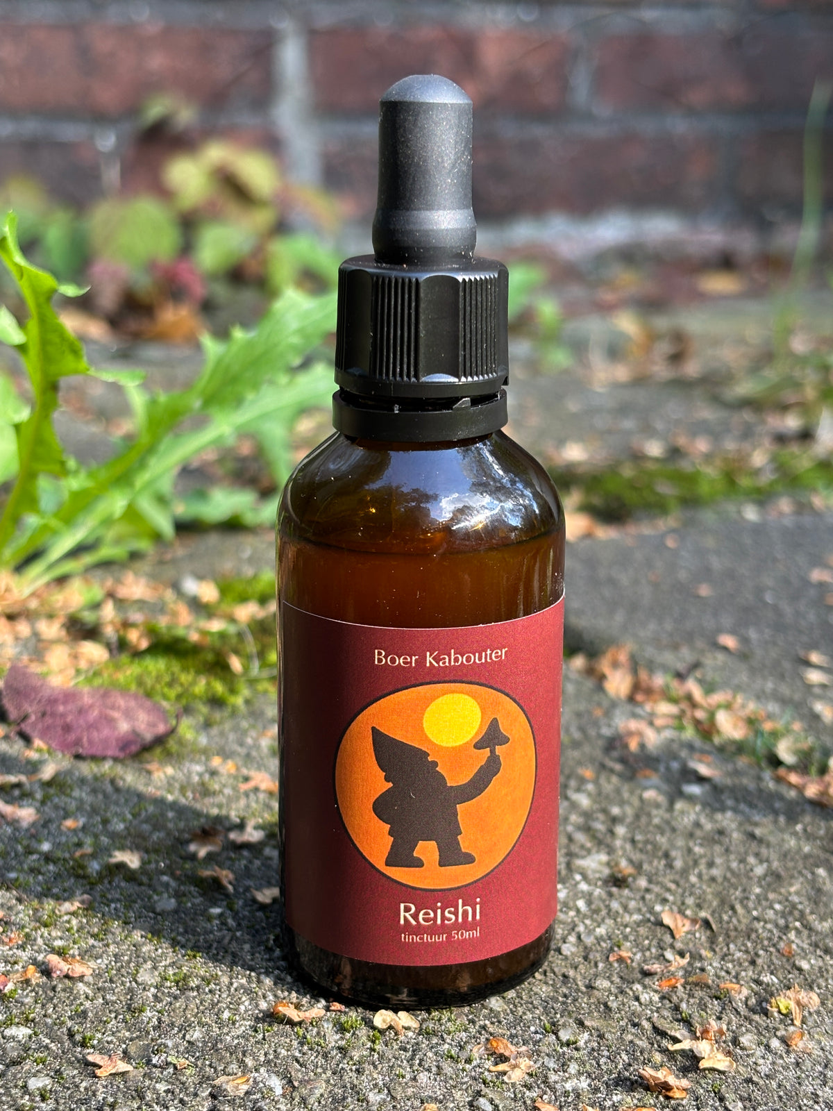 Reishi Tinctuur