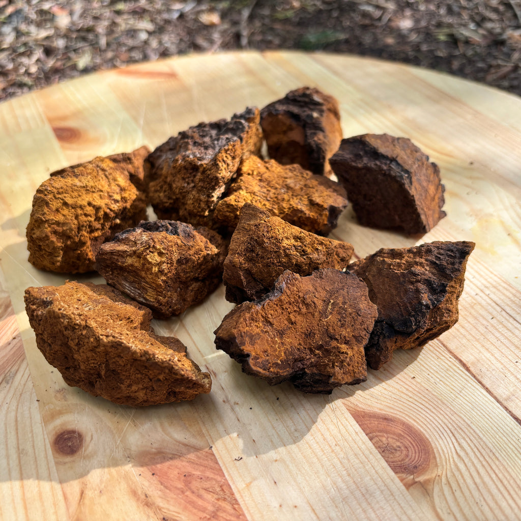Gedroogde Chaga Grof