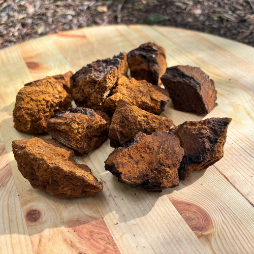 Gedroogde Chaga Grof