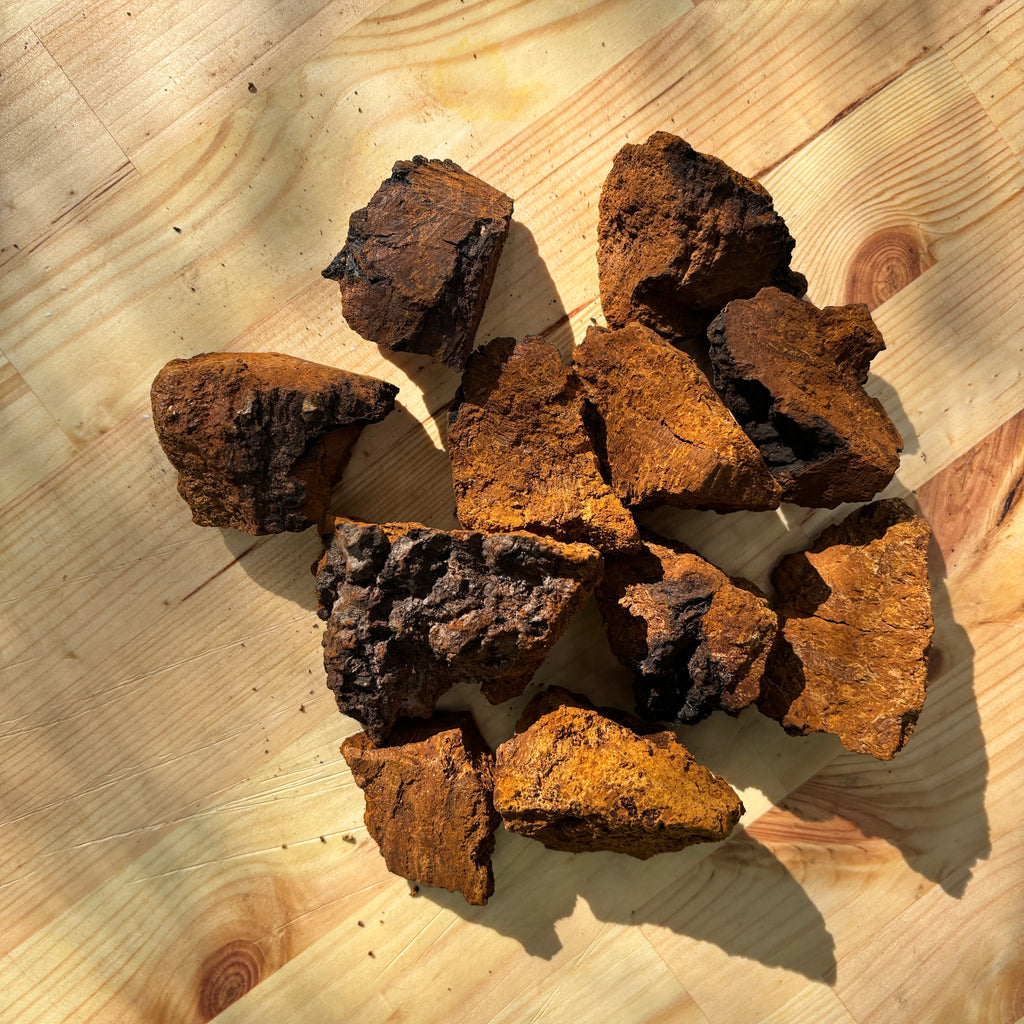 Gedroogde Chaga Grof