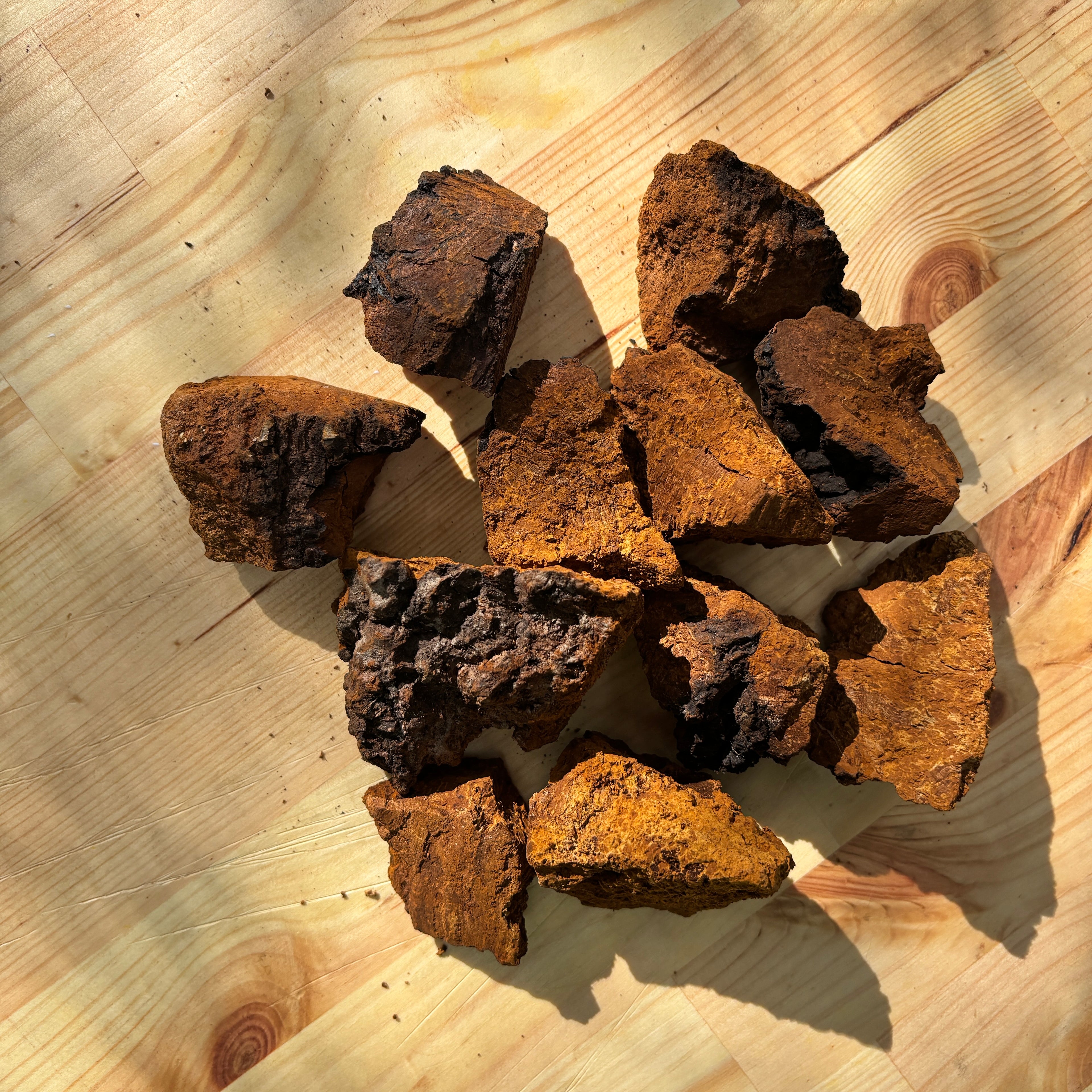 Gedroogde Chaga Grof