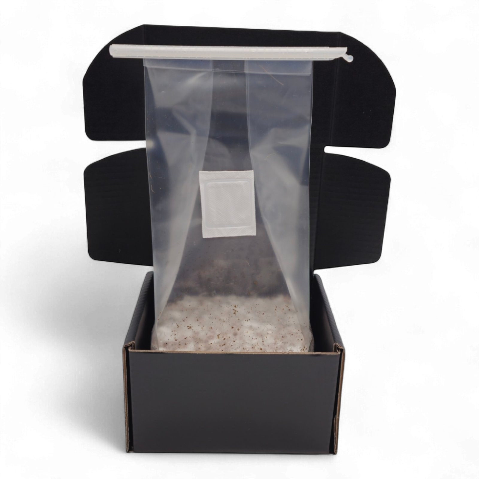 Mac Galactic Mushroom Growkit